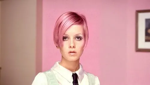 pixie-bob,pink lady,pink quill,girl-in-pop-art,clove pink,hair iron,pink ribbon,pompadour,violet head elf,hairdressing,hair shear,model years 1958 to 1967,stewardess,bouffant,pink vector,pink double,the pink panter,pink hair,hair coloring,doll's head