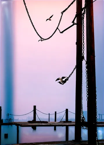 birds on a wire,catenary,powerlines,perched on a wire,power lines,wires,power line,powerline,structure silhouette,highwire,tightrope walker,wire,abstract silhouette,bird frame,crane,telephone pole,harbor cranes,flightpath,strung,tightrope,Conceptual Art,Daily,Daily 19