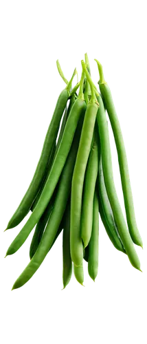 green beans, bunch, solo, vibrant green color, slender shape, glossy surface, delicate stem, soft natural light, shallow depth of field, warm color tone, 3/4 composition, close-up shot.,fragrant peas,