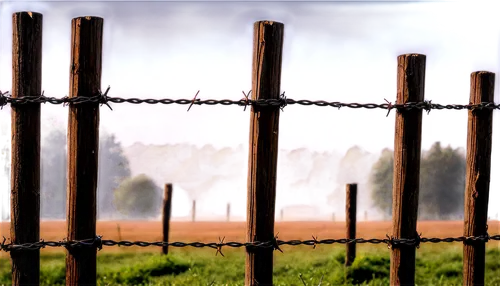 pasture fence,fences,fence,prison fence,fence posts,wire fence,barbed wire,fence gate,chain-link fencing,unfenced,wire fencing,fence element,chain fence,electric fence,ribbon barbed wire,wooden fence,barb wire,picket fence,metal gate,split-rail fence,Photography,Artistic Photography,Artistic Photography 09