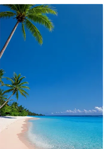 Beautiful beach scene, serene atmosphere, turquoise water, gentle waves, soft white sand, tropical palm trees, clear blue sky, few puffy clouds, warm sunlight, 3/4 composition, shallow depth of field,