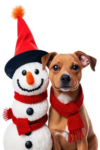 red nosed pit bull,christmas snowy background,christmas animals,christmas background,christmasbackground,santa claus hat,pupillidae,christmas snowman,christmas photo,christmas wallpaper,jack russell terrier,christmas hats,christmas pictures,christmas hat,santa hat,snowflake background,christmas picture,children's christmas photo shoot,christmas greeting,snowmen,Photography,Documentary Photography,Documentary Photography 35