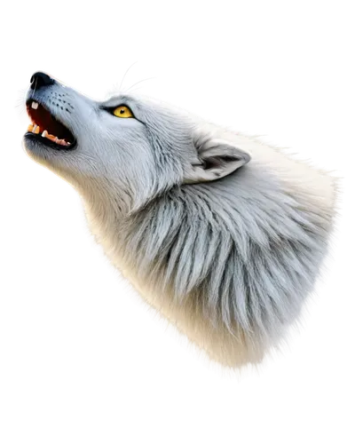 white fox,light fur,loup,howling wolf,constellation wolf,wolpaw,white wolves,wolf,werewolve,wolffian,wolfed,fenrir,volf,atka,wofl,vulpine,atunyote,wolfgramm,arctic fox,volumetric,Conceptual Art,Daily,Daily 33