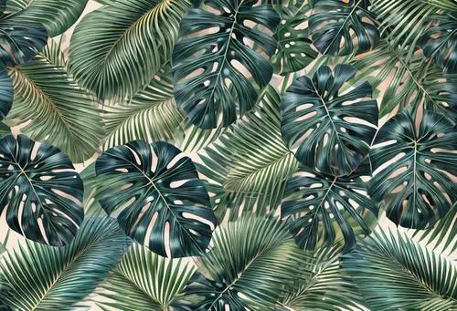 tropical leaf pattern,cycad,leaf pattern,pine cone pattern,foliage,jungle drum leaves,tropical leaf,foliage leaves,araucaria,green wallpaper,palm leaves,green foliage,oleaceae,urticaceae,pine needle,b