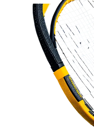 racquet sport,tennis racket,tennis racket accessory,racquet,tennis equipment,rackets,paddle tennis,racquetball,table tennis racket,racket,real tennis,tennis,padel,soft tennis,frontenis,pickleball,wheelchair tennis,badminton,sports equipment,firewire cable,Art,Classical Oil Painting,Classical Oil Painting 21