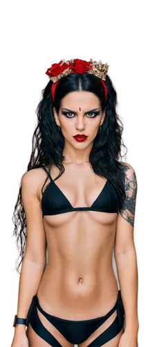 saraya,tamina,derivable,daffney,melina,aksana,nikki,sonya,amazona,strongwoman,kaitlyn,vickie,chicana,lady honor,zelina,celtic queen,santana,sarita,fey,kairon,Illustration,Realistic Fantasy,Realistic Fantasy 10