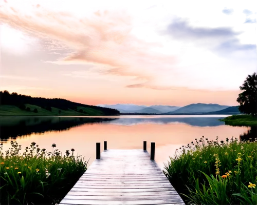 landscape background,evening lake,nature background,background view nature,virtual landscape,beautiful lake,tranquility,untersee,waterscape,lake,tranquillity,calmness,wooden pier,mountainlake,nature landscape,the lake,wooden bridge,landscape nature,dock,schaalsee,Illustration,Black and White,Black and White 33