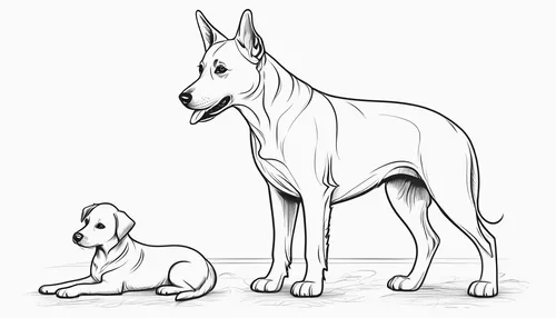 bull terrier (miniature),dog line art,ibizan hound,bull terrier,pharaoh hound,bull and terrier,dog illustration,thai ridgeback,american hairless terrier,ancient dog breeds,great dane,giant dog breed,american staghound,malinois and border collie,sighthound,galgo español,whippet,dog drawing,polish greyhound,dog breed,Illustration,Black and White,Black and White 04