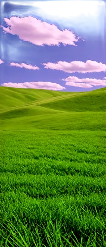 palouse,green fields,wheat field,grasslands,plains,windows wallpaper,wheat fields,landscape background,flatlands,gras,farmland,virtual landscape,grassland,cropland,prairies,barley field,steppe,green landscape,grain field,green wheat,Art,Classical Oil Painting,Classical Oil Painting 34