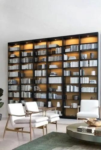 bookshelves,bookcase,book wall,bookshelf,shelving,celsus library,reading room,contemporary decor,modern living room,interior modern design,modern decor,mid century modern,search interior solutions,shelves,tv cabinet,entertainment center,room divider,danish furniture,book bindings,livingroom