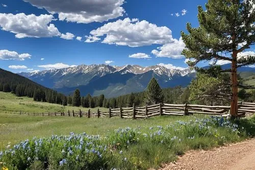 salt meadow landscape,alpine meadows,jarbidge,rocky mountain,rocky mountains,telluride,westcliffe,alpine drive,colorado,alpine meadow,trailheads,ouray,uncompahgre,similkameen,gardnerville,mountain meadow,toiyabe,pikes peak highway,intermountain,breckinridge,Conceptual Art,Graffiti Art,Graffiti Art 03