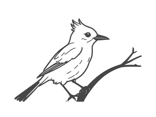 bird png,white finch,line art birds,titmouse,bird illustration,bird drawing,Design Sketch,Design Sketch,Rough Outline