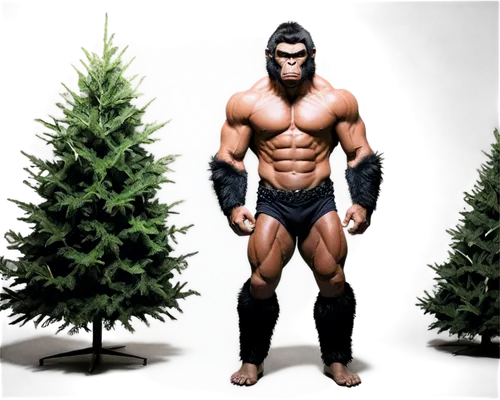 christmas figure,polykleitos,gigantopithecus,nudelman,bodybuilding,apeman,gimlin,derivable,woodsman,wightman,gruenbaum,palaeopropithecus,body building,devitt,oranienbaum,tree man,bodybuilders,bigfoot,tannenbaum,cristman,Illustration,Japanese style,Japanese Style 12