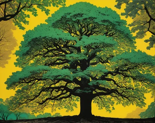 Describe the majestic European ash tree in a peaceful forest setting.,oak tree,tree of life,colorful tree of life,painted tree,tree canopy,bodhi tree,celtic tree,gold foil tree of life,oak,flourishing