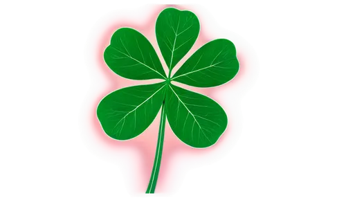 4-leaf clover,lucky clover,narrow clover,medium clover,five-leaf clover,shamrock,four-leaf clover,clover leaves,long ahriger clover,three leaf clover,4 leaf clover,a four leaf clover,four leaf clover,shamrocks,clovers,maidenhair,clover flower,lepreau,shamrock balloon,incarnate clover,Photography,Documentary Photography,Documentary Photography 20