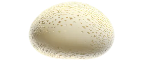 egg,egg shell,large egg,bird's egg,bisected egg,golden egg,crystal egg,eggs,brown egg,organic egg,hen's egg,chicken egg,zoeggler,egg net,cracked egg,hegg,bird eggs,brown eggs,goose eggs,eggan,Art,Artistic Painting,Artistic Painting 41