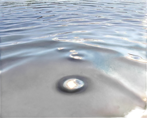 surface tension,water surface,water droplet,drop of water,reflection of the surface of the water,mirror in a drop,ripples,water droplets,on the water surface,water drop,water drops,a drop of water,air bubbles,waterdrop,droplet,waterdrops,drops of water,droplets of water,oil in water,liquid bubble,Conceptual Art,Daily,Daily 35