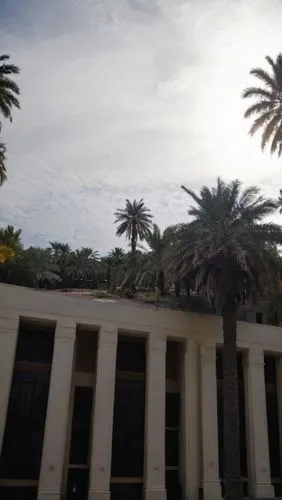 a building with a palm tree growing out of the roof,royal palms,palmera,palmtrees,palm branches,palms,heads of royal palms