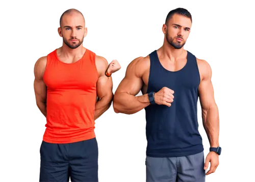 pair of dumbbells,muscadelle,musclemen,bodybuilders,carnitine,arginine,trenbolone,nandrolone,psyllium,muscularity,stanozolol,clenbuterol,boldenone,citrulline,derivable,machos,fat loss,body building,anabolic,lykourezos,Conceptual Art,Daily,Daily 28