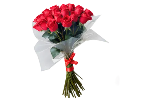 flowers png,rose png,artificial flower,red gift,red carnation,valentine flower,red flower,red carnations,nawroz,rosse,artificial flowers,red flowers,red rose,red roses,flower background,carnation of india,for you,phool,klatschmohn,rosae,Illustration,Retro,Retro 16