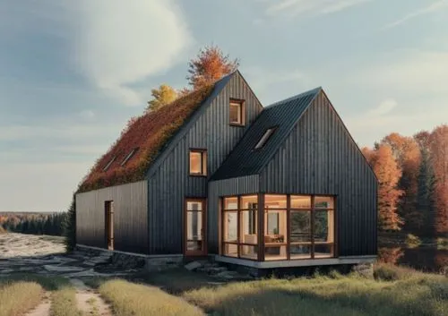 passivhaus,danish house,scandinavian style,inverted cottage,timber house,arkitekter,wooden house,huset,velux,small cabin,homebuilding,weatherboarding,cubic house,scandinavica,lohaus,greenhut,dunes house,snohetta,landhaus,frame house,Photography,Documentary Photography,Documentary Photography 19