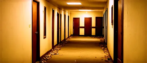 corridors,corridor,hallway,hallways,hallway space,dormitory,dorms,hotel hall,passageways,creepy doorway,redrum,rooms,room door,dormitories,passageway,entranceways,basement,entranceway,passage,doorways,Illustration,Realistic Fantasy,Realistic Fantasy 09