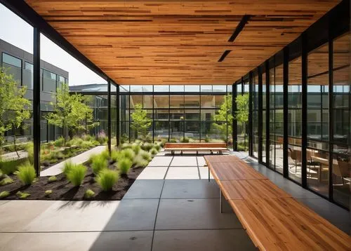 cupertino,home of apple,bohlin,palo alto,gensler,corten steel,modern office,snohetta,ucsd,atriums,glass facade,genentech,glass wall,daylighting,kundig,langara,ucsc,ucsf,radziner,njitap,Art,Artistic Painting,Artistic Painting 51