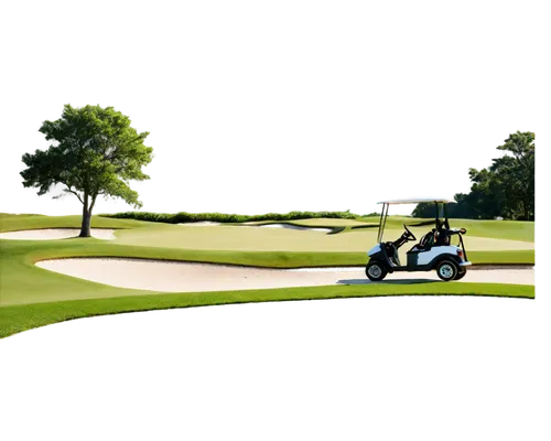 Golf course, green grass, sunny day, clear blue sky, rolling hills, golf clubs, golf balls, golf cart, water hazard, sand trap, trees lining fairway, gentle breeze, soft focus, warm lighting, 3/4 comp