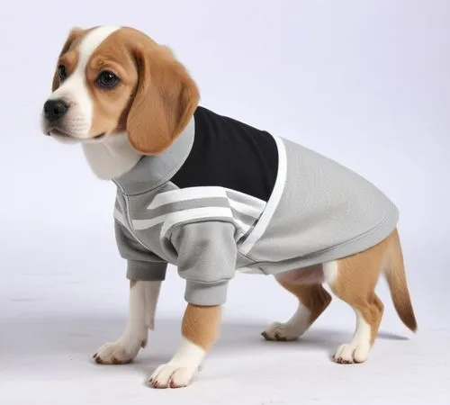 dog coat,beagle,basset,bassett,beagles,bfp