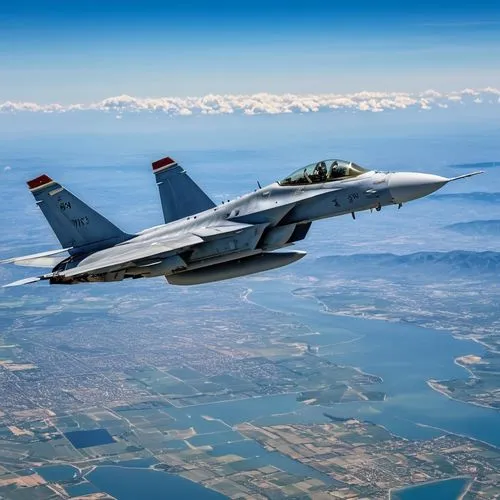 boeing f a-18 hornet,f a-18c,garrison,pacaf,textron,us air force,navair,aircraftman,military fighter jets,flanker,airman,air combat,scott afb,united states air force,raaf hornets,blue angels,jasdf,the air force,sukhoi,usaf,Photography,General,Realistic