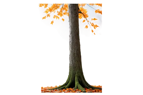 cardstock tree,deciduous tree,autumn tree,smaller tree,a tree,tulip poplar,tree slice,painted tree,birch tree illustration,flourishing tree,isolated tree,arborist,tangerine tree,small tree,tree,seasonal tree,trees with stitching,tulip tree,bigtree,penny tree,Illustration,Abstract Fantasy,Abstract Fantasy 18