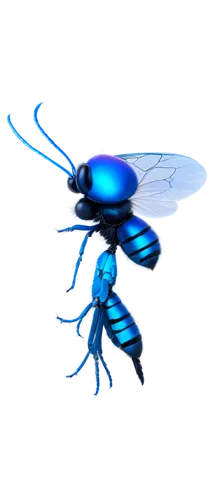 blue-winged wasteland insect,blue butterfly background,blue wooden bee,membrane-winged insect,artificial fly,drosophila,winged insect,butterfly vector,bluebottle,flying insect,housefly,buterflies,blue butterfly,insect,mosquitoe,field wasp,ulysses butterfly,flower fly,drone bee,damselfly,Illustration,Realistic Fantasy,Realistic Fantasy 26