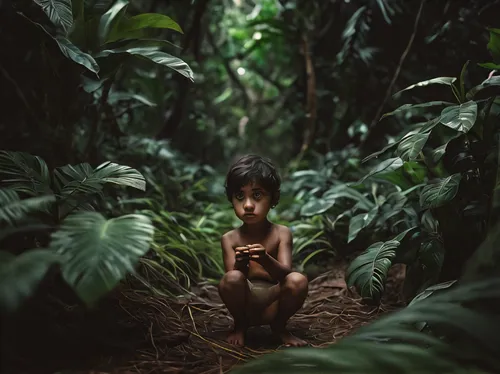 jungle,mccurry,jungles,amazonian,yanomami,photographing children,tropical forest,tarzan,siberut,amazonia,amazonas,tropical jungle,polynesian girl,rainforest,jungly,yasuni,jungled,huaorani,girl in the garden,masakayan,Photography,Documentary Photography,Documentary Photography 08