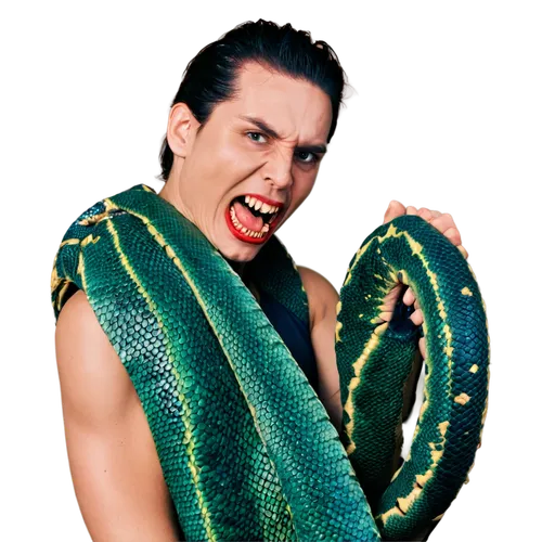 mexican creeper,reptile,maguey worm,green snake,crocodile woman,missisipi aligator,choke snake,mexican blanket,gila monster,aaa,reptilia,scaled reptile,serpentes,boa constrictor,bullsnake,snake charming,snakebite,reptiles,anaconda,rattlesnake,Illustration,Vector,Vector 04