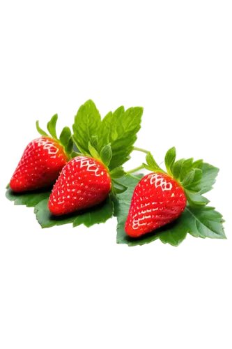 strawberries,strawberry plant,strawberry,red strawberry,strawberry ripe,fragaria,strawbs,watermelon background,salad of strawberries,berries,berry fruit,raspberry leaf,red berry,strawberry flower,red and green,fraise,accoceberry,rasberry,strawberry tree,red fruits,Illustration,Paper based,Paper Based 15