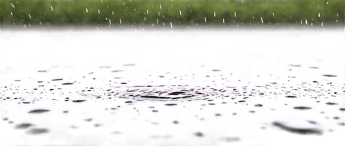 drop of rain,rainwater drops,drops of water,drops,superhydrophobic,water droplets,hydrophobic,rain droplets,raindrop,rain drops,pouring,water drops,droplets of water,drop of water,waterdrops,rainfall,hydrophobicity,rain field,water droplet,drops on the glass,Conceptual Art,Sci-Fi,Sci-Fi 18