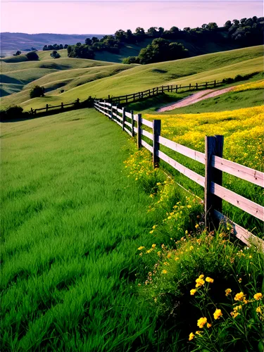 pasture fence,yellow grass,grassfields,grasslands,fence posts,blooming field,green meadow,grassland,meadow landscape,green fields,pastures,rolling hills,fenceline,hayfields,farmland,green meadows,fences,prairies,fruitlands,daffodil field,Conceptual Art,Oil color,Oil Color 05