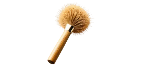 cosmetic brush,paintbrush,brush,bristles,natural brush,artist brush,paint brush,hair brush,straw flower,brushes,hairbrush,dish brush,pencil icon,brushstroke,brosse,seed head,paint brushes,feather pen,spikelet,plume,Photography,Fashion Photography,Fashion Photography 19