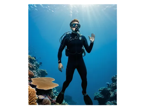 aquarist,divemaster,freediving,underwater background,scuba,nose doctor fish,photo session in the aquatic studio,scuba diving,subaquatic,hawaii doctor fish,freediver,weißkehl doctor fish,snorkelers,buceo,cousteau,snorkeler,marine tank,doctor fish,lemon doctor fish,aquaria,Illustration,Retro,Retro 11