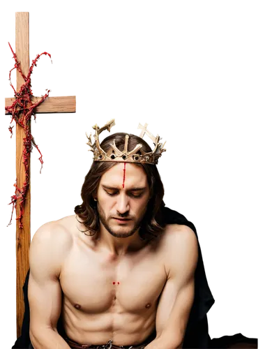 crown of thorns,crown-of-thorns,jesus christ and the cross,holy week,jesus on the cross,flower crown of christ,good friday,son of god,crucifix,jesus cross,christ star,the crucifixion,mark with a cross,holy cross,christ feast,calvary,jesus figure,pietà,christdorn,holyman,Art,Classical Oil Painting,Classical Oil Painting 33