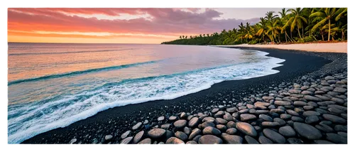 black sand, tropical beach, palm trees, crystal clear water, rocky shores, sunset glow, low-angle shot, wide-angle lens, warm golden light, cinematic composition, vibrant colors, detailed textures, sh