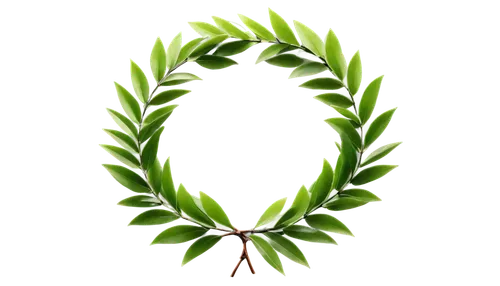 laurel wreath,green wreath,wreath vector,fern leaf,spring leaf background,leaf fern,rod of asclepius,leaf background,asplenium,aloe vera leaf,green leaves,fern plant,natura,huana,parsley leaves,palm tree vector,green leaf,patrol,pine needle,greenleft,Illustration,Japanese style,Japanese Style 11