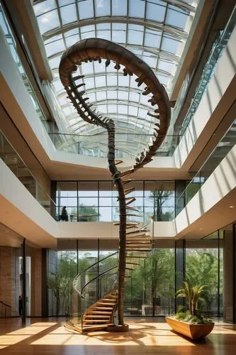 kaust,spiral staircase,atriums,dna helix,helix,embl,winding staircase,atrium,technion,spiral,spiral stairs,dinosaur skeleton,circular staircase,spiral art,masdar,modern office,spiralling,segerstrom,wintergarden,spirally,Photography,Documentary Photography,Documentary Photography 13