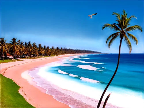 tropical beach,caribbean beach,tropical sea,dream beach,cabarete,paradise beach,lakshadweep,beach landscape,caribbean,caribbean sea,beautiful beaches,brazilian beach,coconut trees,beautiful beach,hawai,paradises,tangalle,beach scenery,tobago,the caribbean,Conceptual Art,Fantasy,Fantasy 24