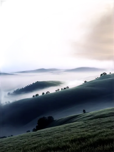 Foggy atmosphere, misty veil, soft white fog, rolling hills, mysterious aura, solo, eerie silence, dark blue tone, cinematic lighting, panoramic view, high contrast, detailed texture, realistic render