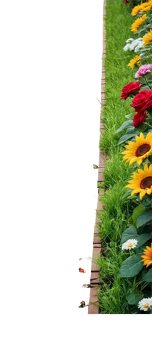 grave arrangement,flower border,floral border,flower bed,flowerbed,cemetery flowers,flowers png,flower borders,flower border frame,flowerbeds,flower arrangement lying,green border,flower background,flowerbox,flowers in wheel barrel,summer border,klatschmohn,tulip background,flowers field,field of flowers,Art,Classical Oil Painting,Classical Oil Painting 19