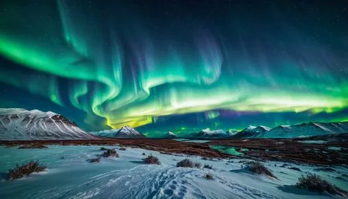 northen lights,auroras,aurora borealis,norther lights,aurorae,green aurora,the northern lights,auroral,northern lights,nothern lights,northern light,aurora,polar aurora,northen light,polar lights,aurora butterfly,torngat,large aurora butterfly,abisko,aurora polar,Photography,General,Fantasy