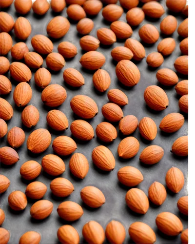 unshelled almonds,fish oil capsules,almonds,pine nuts,pumpkin seeds,hippophae,pumpkin seed,lentils,pine nut,softgel capsules,salted almonds,cowpea,care capsules,isolated product image,gel capsules,soybeans,cocoa beans,capsule-diet pill,kidney beans,roasted almonds,Illustration,Paper based,Paper Based 10