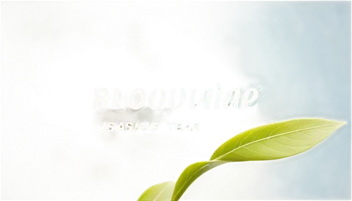 jasminum,blooming,blassingame,alevine,night-blooming jasmine,blooming tea,eflornithine,bloomie,blasingame,jasminka,illumine,josceline,bloomer,blooming grass,bloomin,blaemire,iovine,abasement,fleeming,demming,Unique,Design,Logo Design