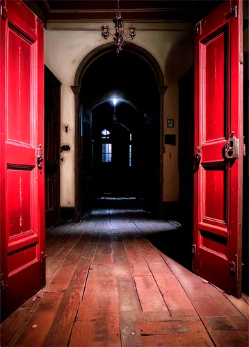 hallway,room door,doorways,corridors,the threshold of the house,front door,entranceway,corridor,church door,doorway,the door,creepy doorway,doorsteps,house entrance,open door,main door,door,entrances,doorkeepers,in the door,Illustration,Realistic Fantasy,Realistic Fantasy 46